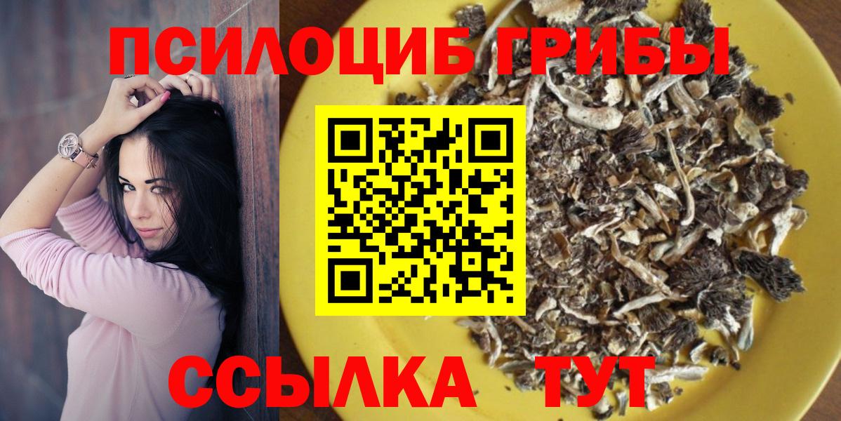 Нальчик  Галлюциногенные грибы GOLDEN TEACHER  Вход с VPN 