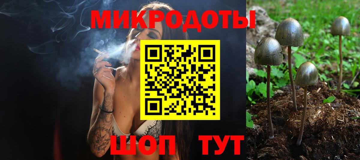 Псилоцибиновые грибы Psilocybe Нальчик